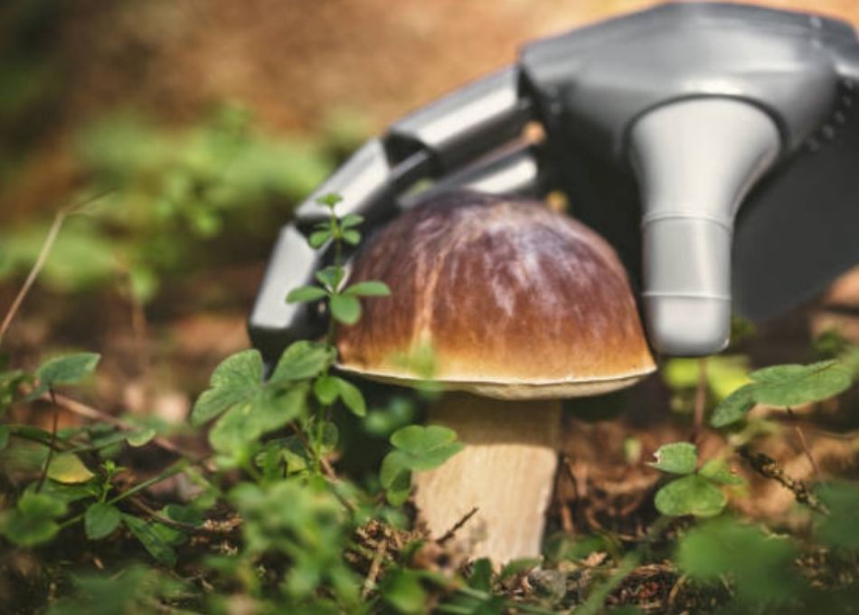 Roboter und Spaß: Fantasie oder neue Realität?